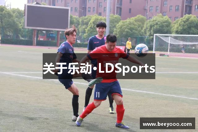 关于乐动·LDSports